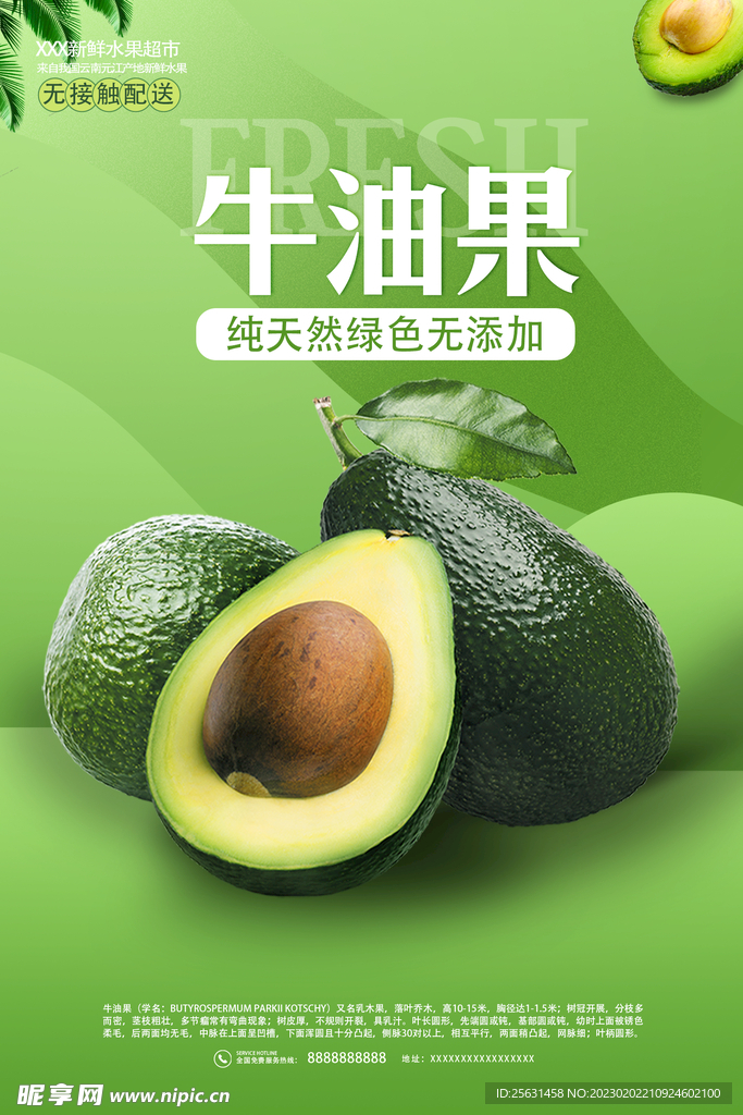 牛油果
