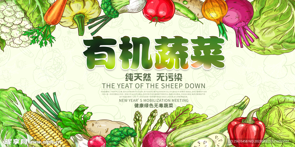有机蔬菜