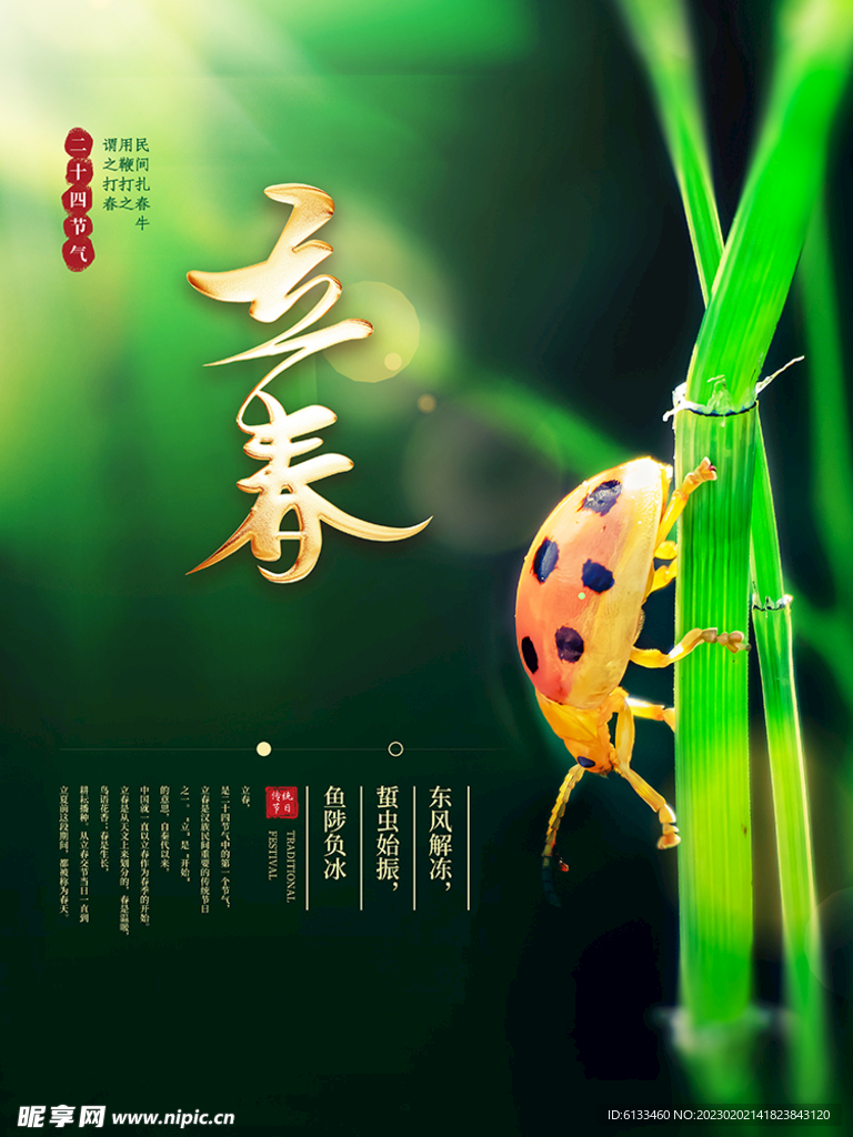 立春