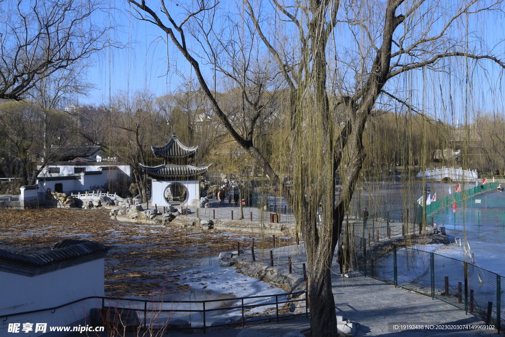 公园风景 