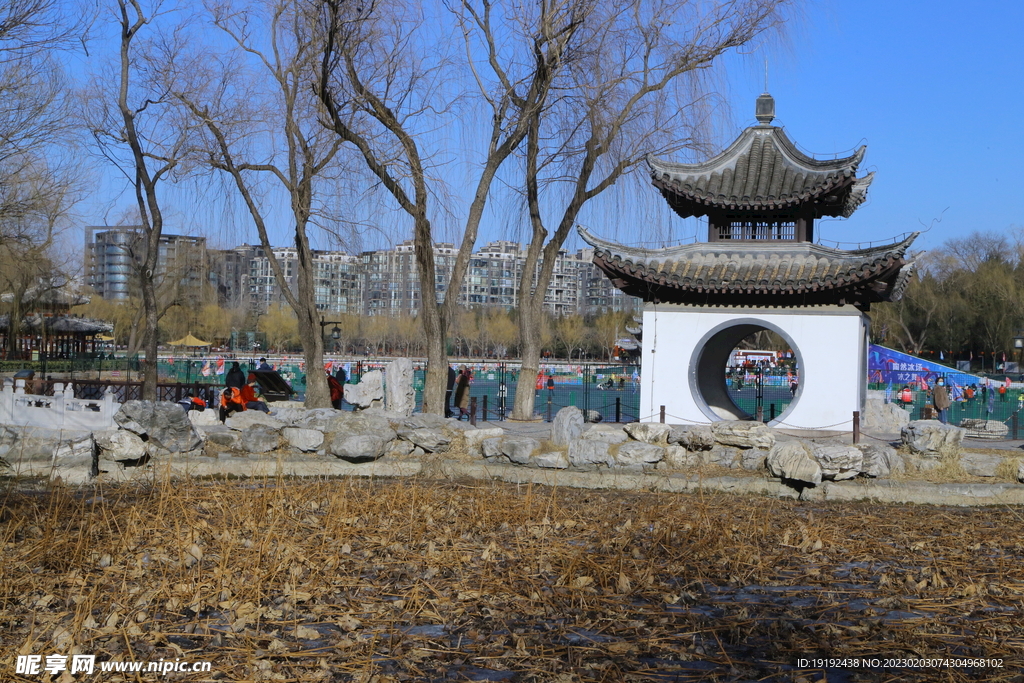 公园风景  