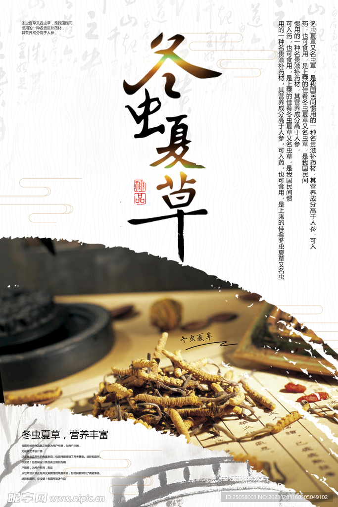冬虫夏草海报