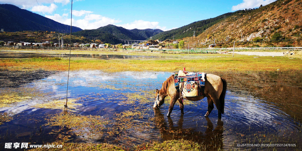 四川稻城亚丁风光