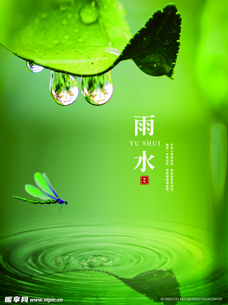 雨水节气海报