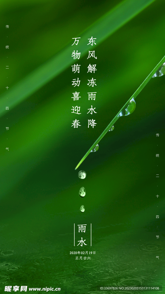 雨水
