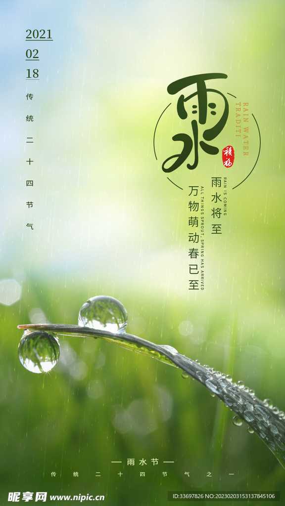 雨水