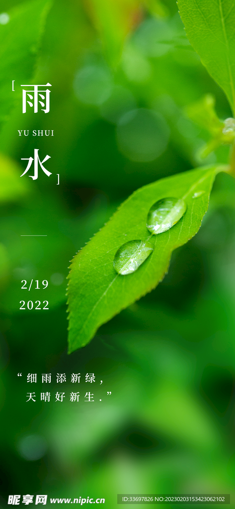 雨水