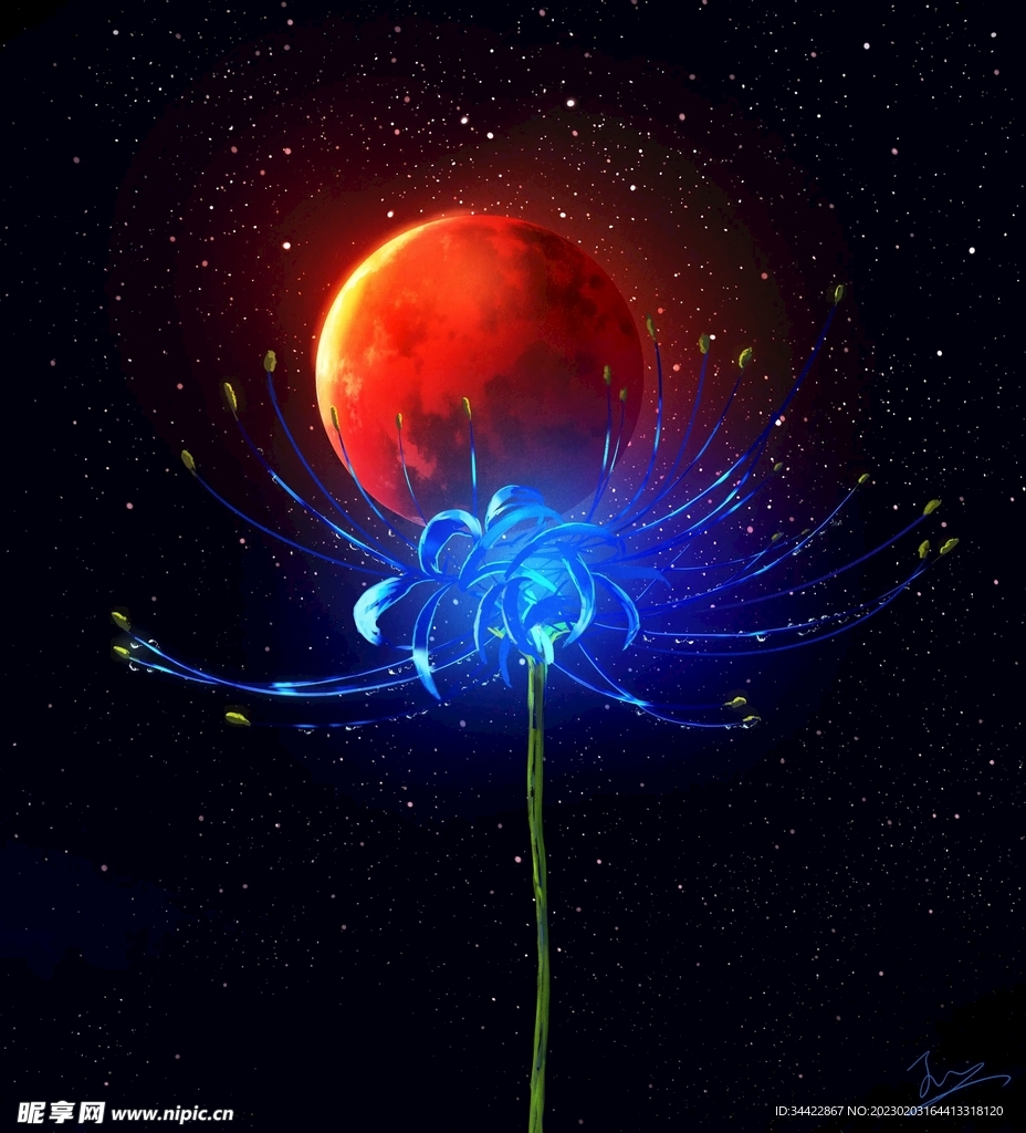 星期与花束