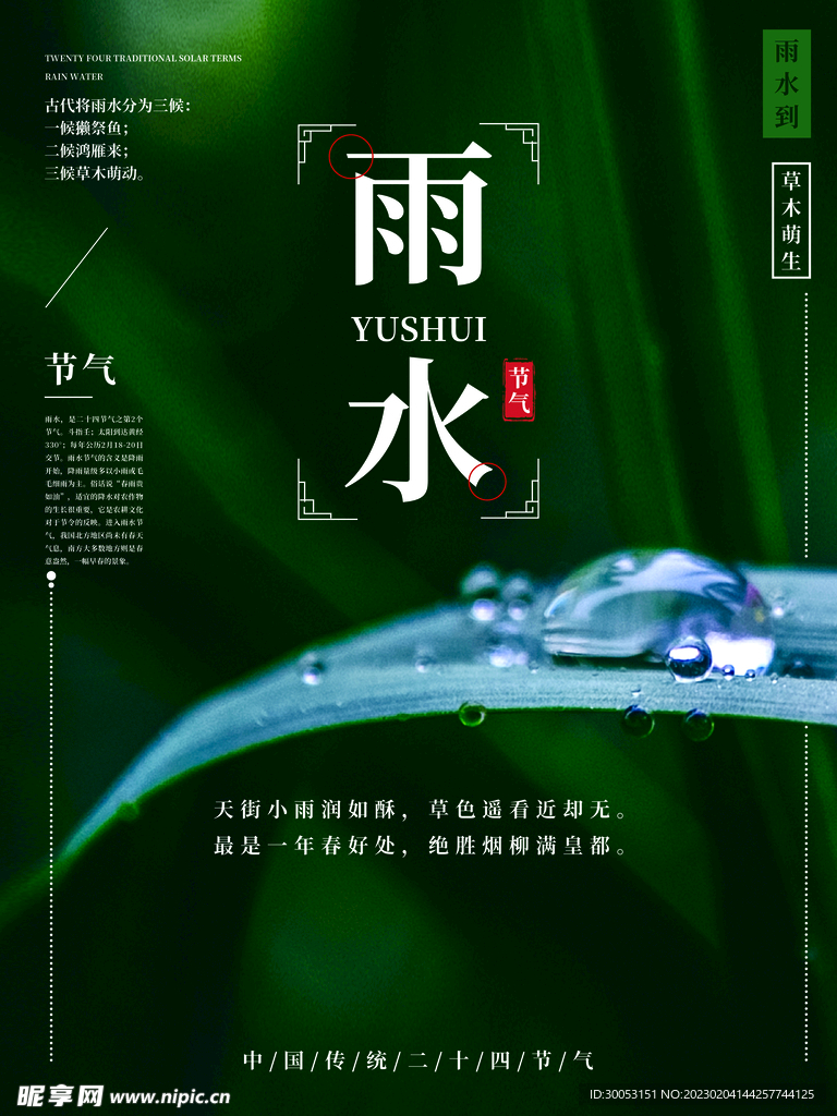 雨水节气海报