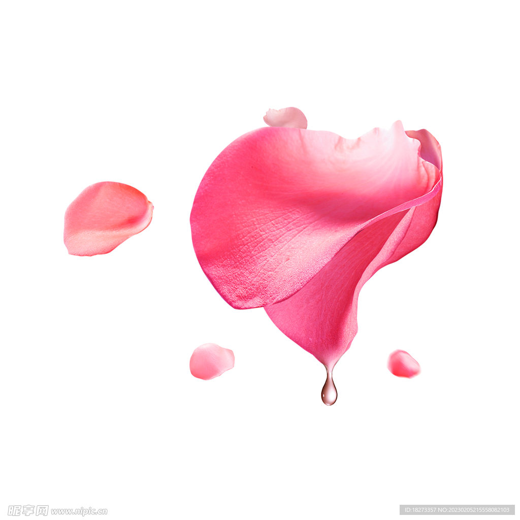 花瓣