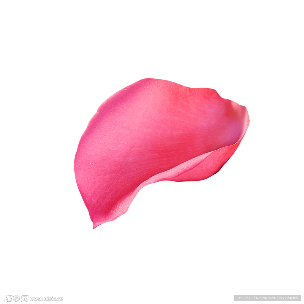 花瓣