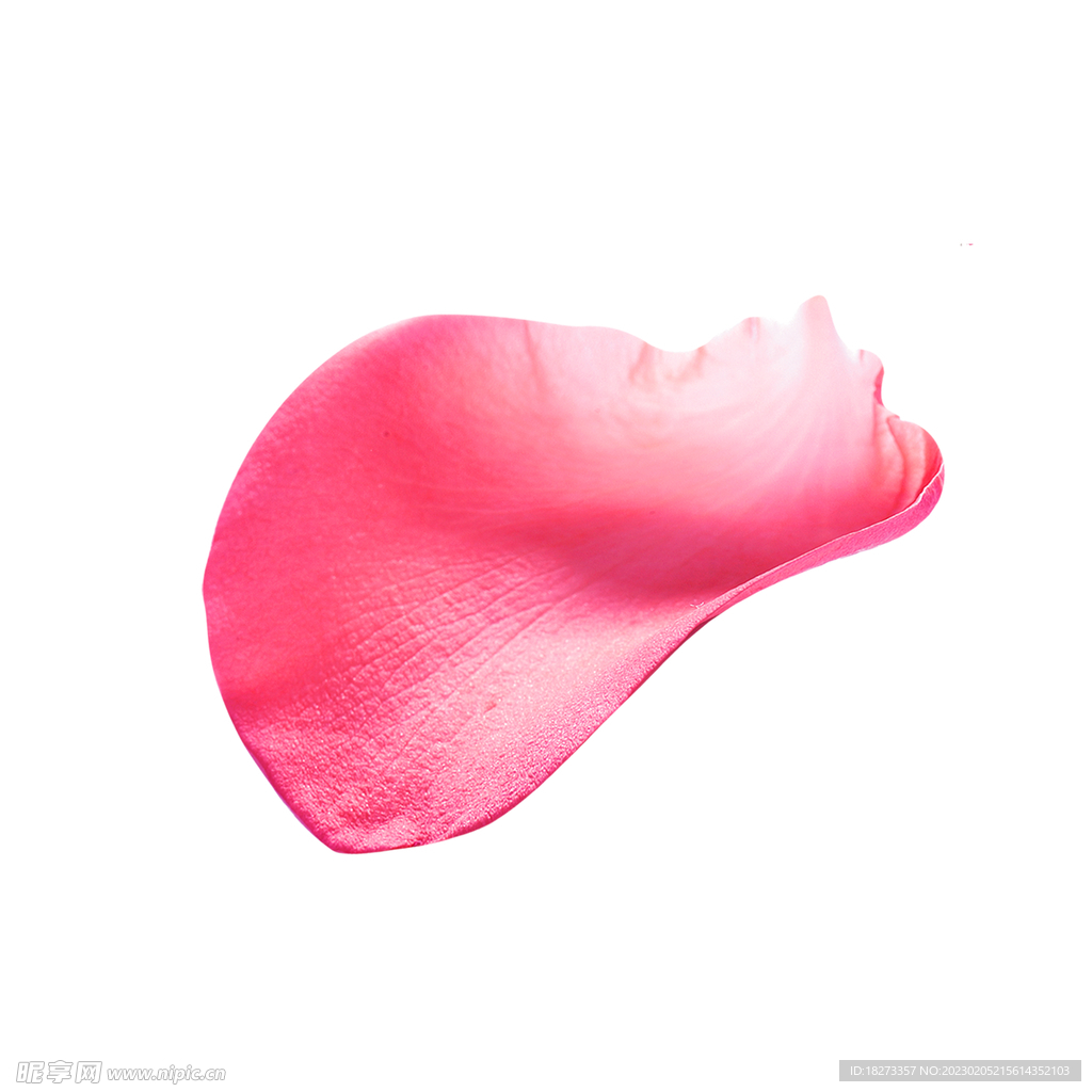 花瓣