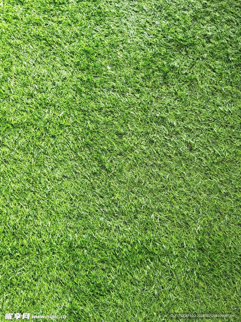 绿色草皮