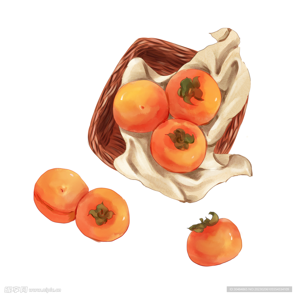 柿子插画