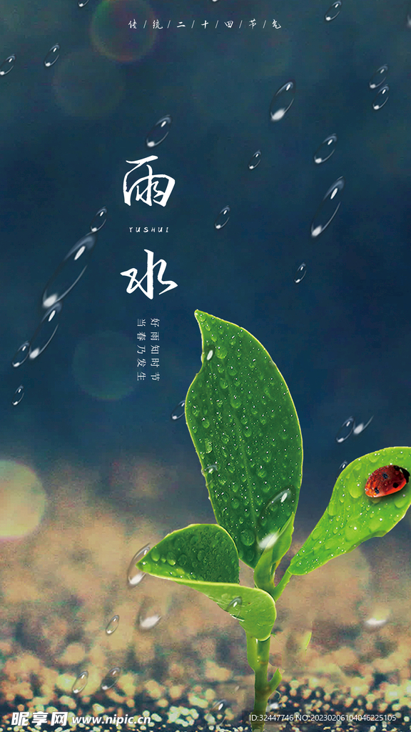 雨水海报
