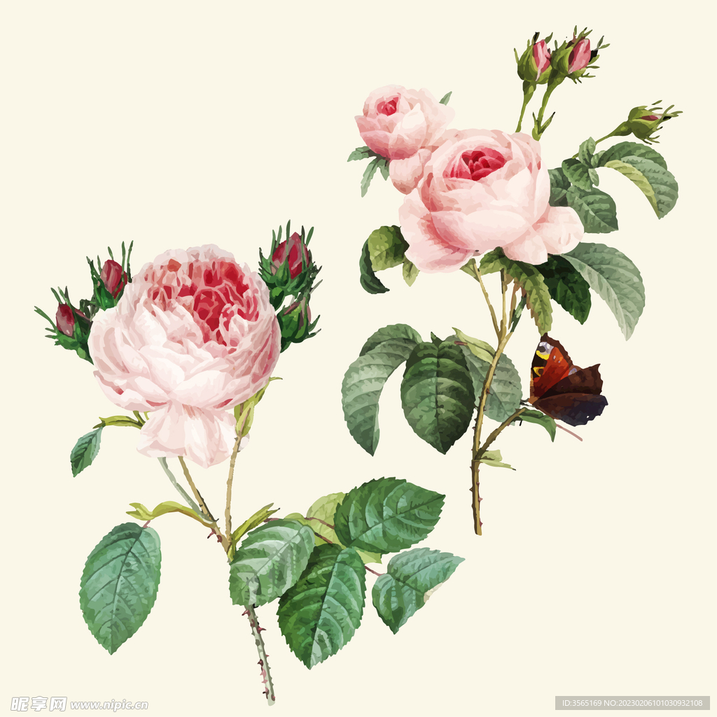 手绘玫瑰花矢量素材