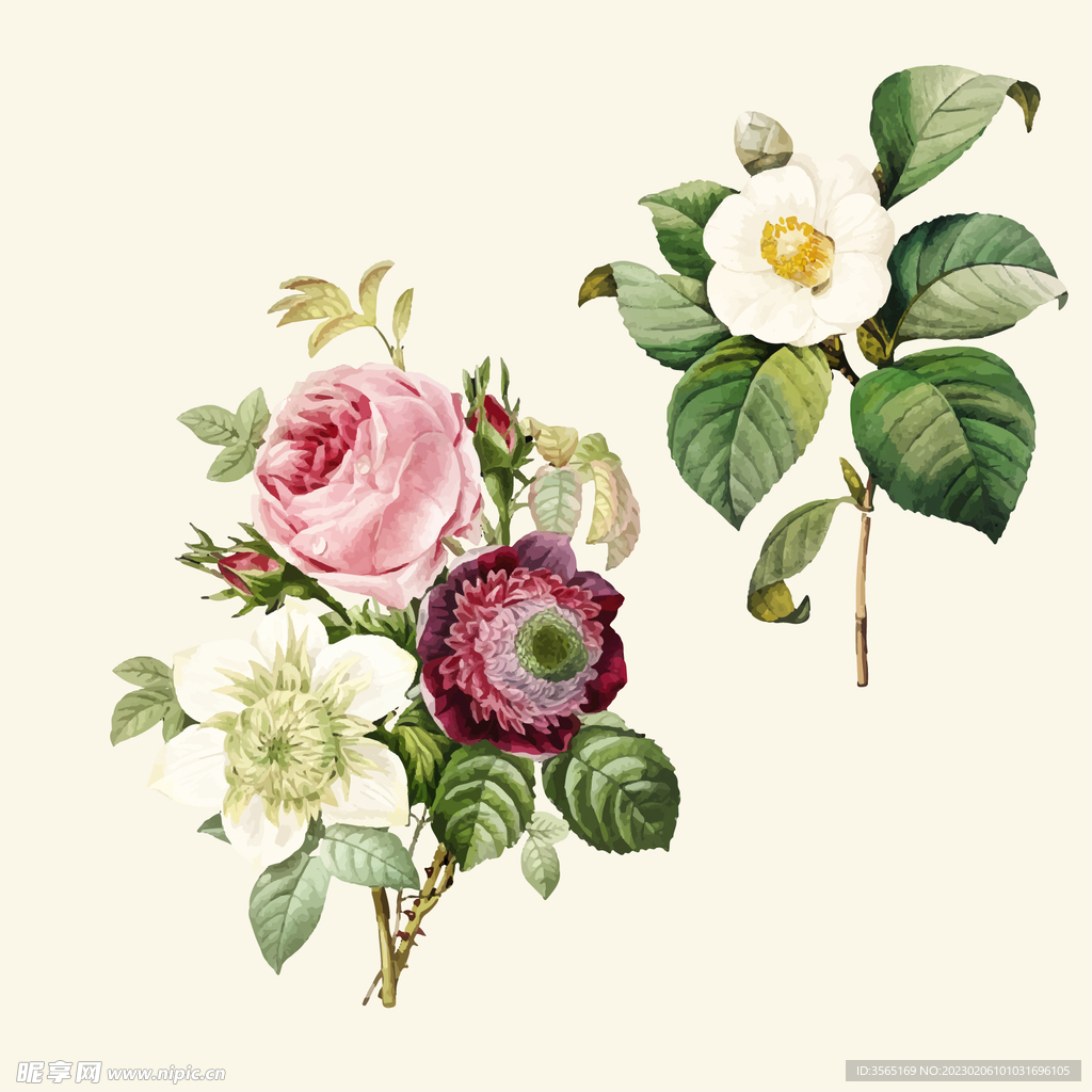 手绘玫瑰花矢量素材