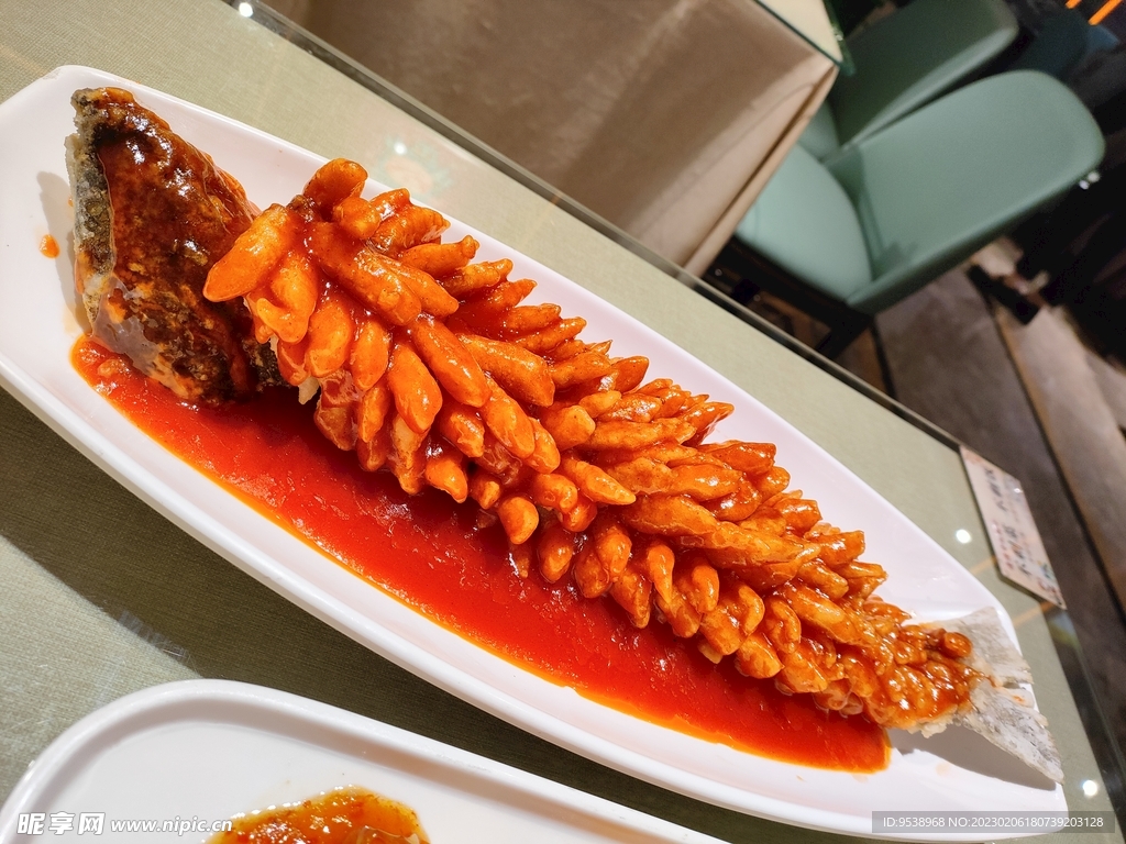 珊瑚鱼