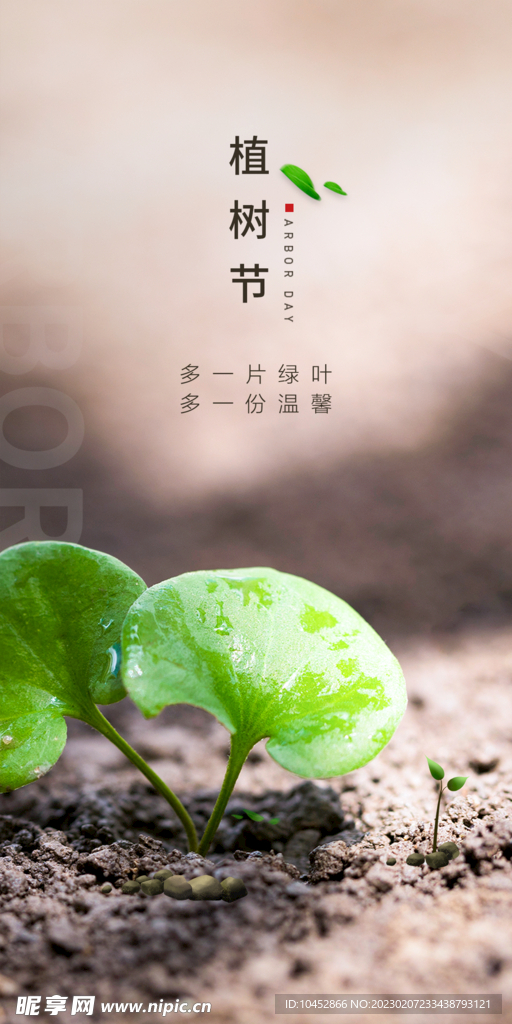植树节
