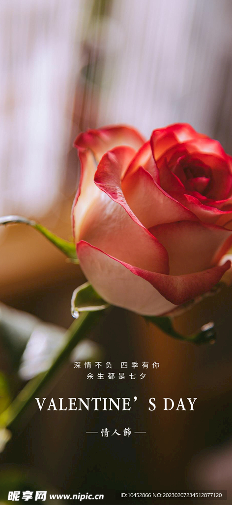 情人节