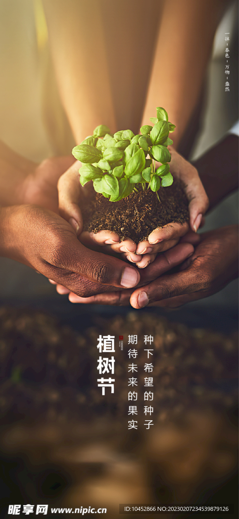植树节