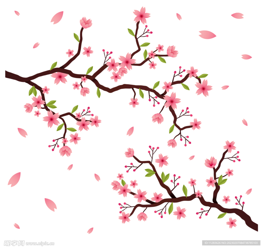 樱花插画
