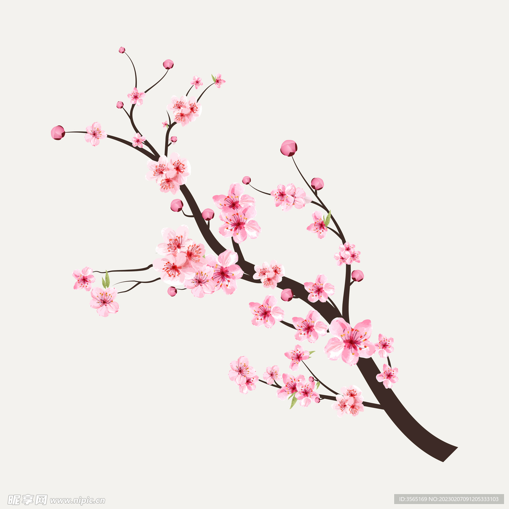 粉色水彩梅花矢量素材