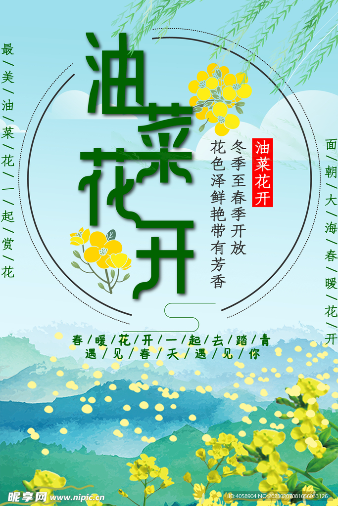 油菜花开