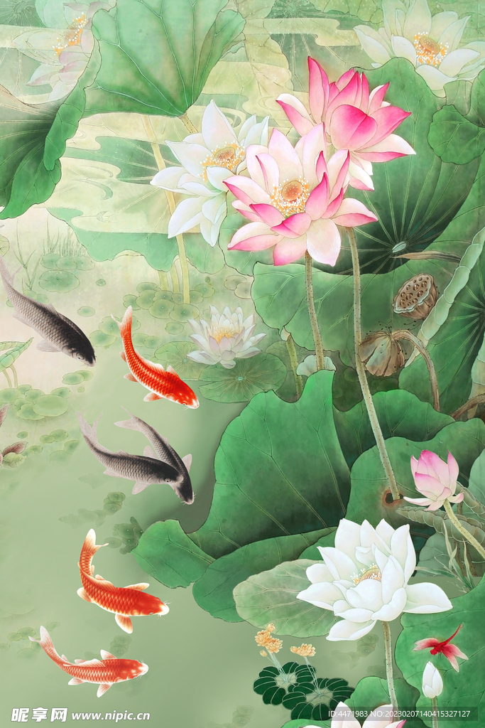 荷花