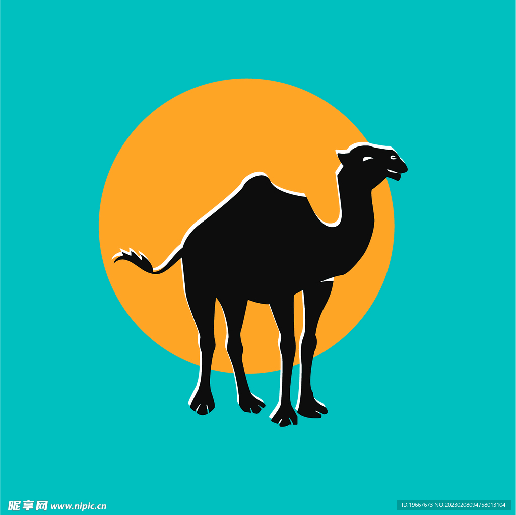 动物 