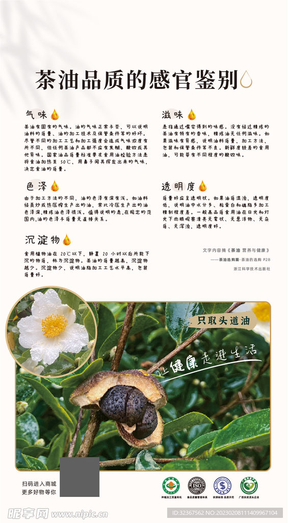 山茶油 