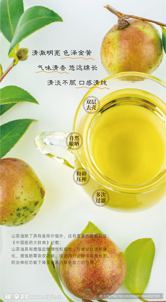 山茶油 