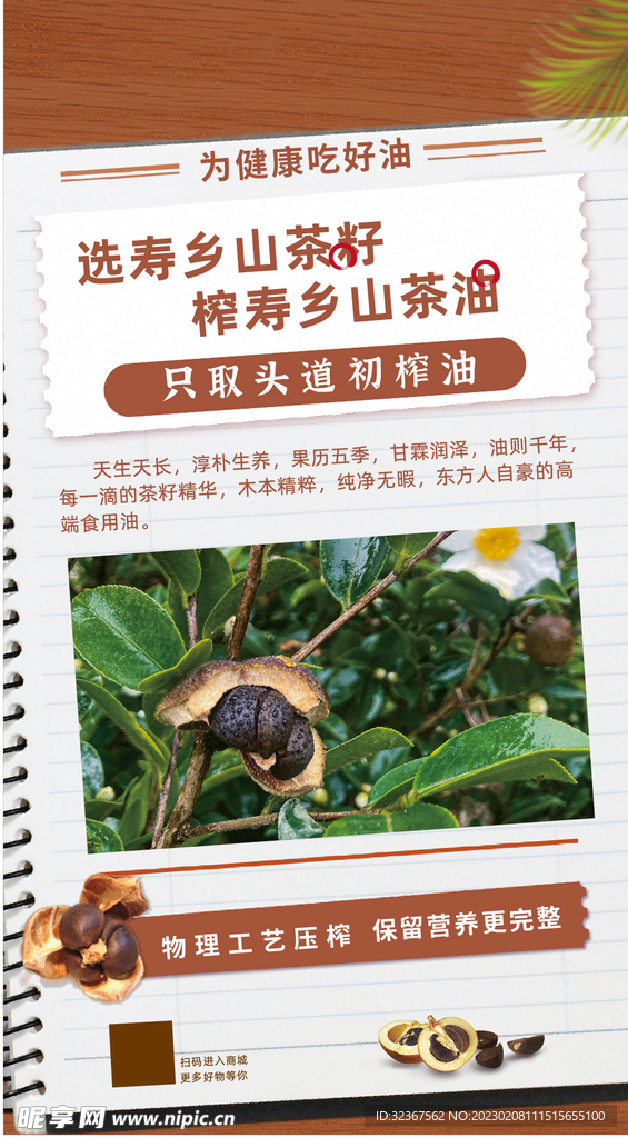 山茶油