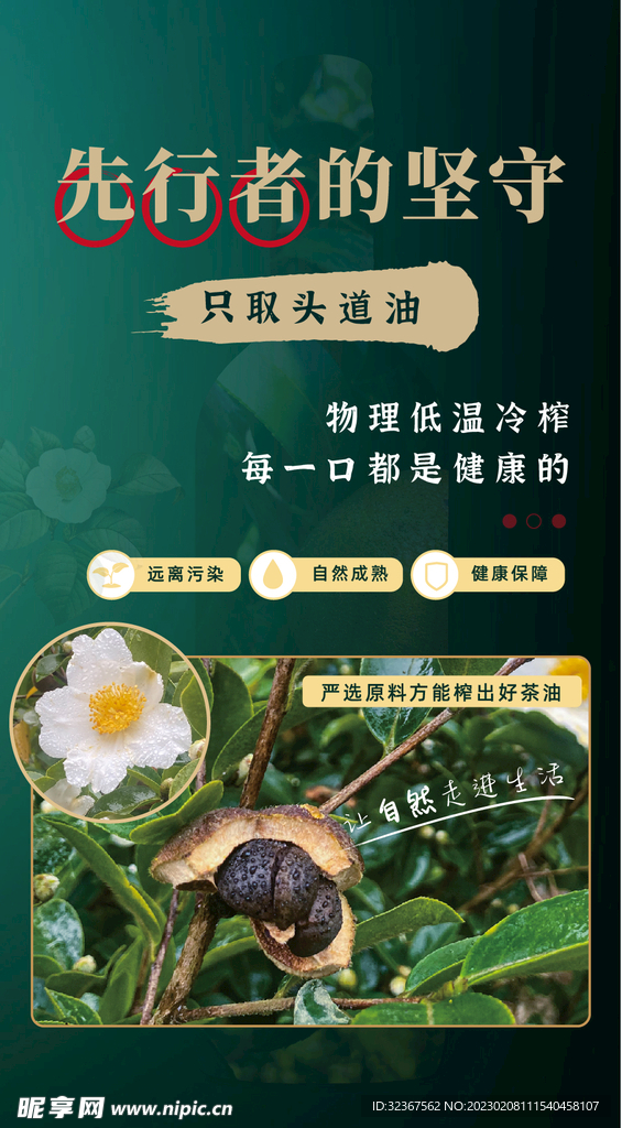 山茶油 