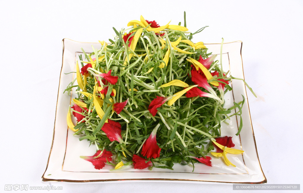 草尖吻鲜花