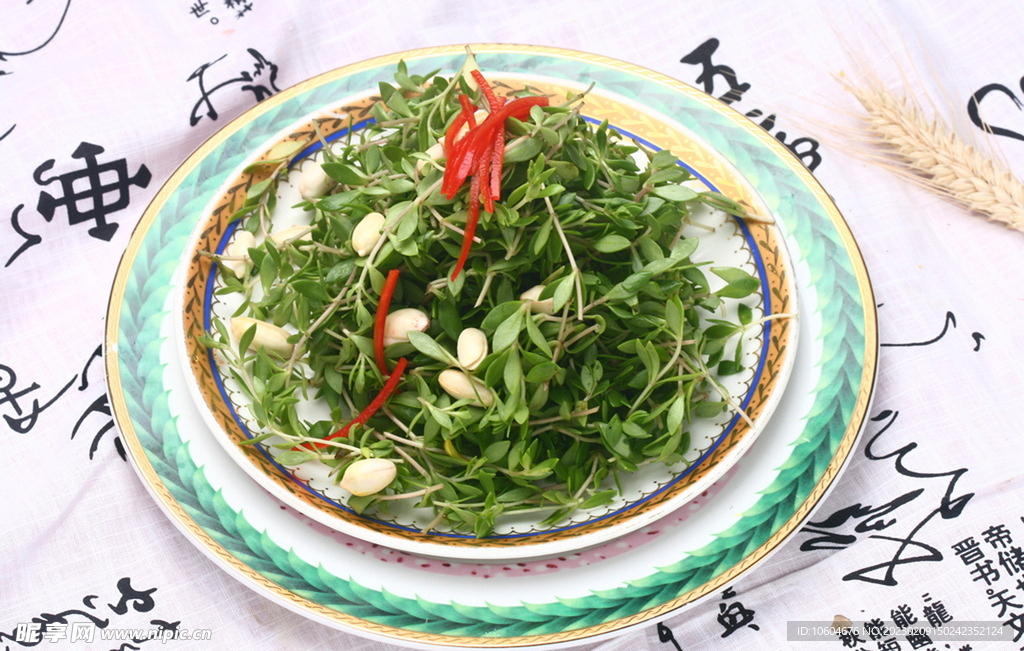 吊兰长寿果