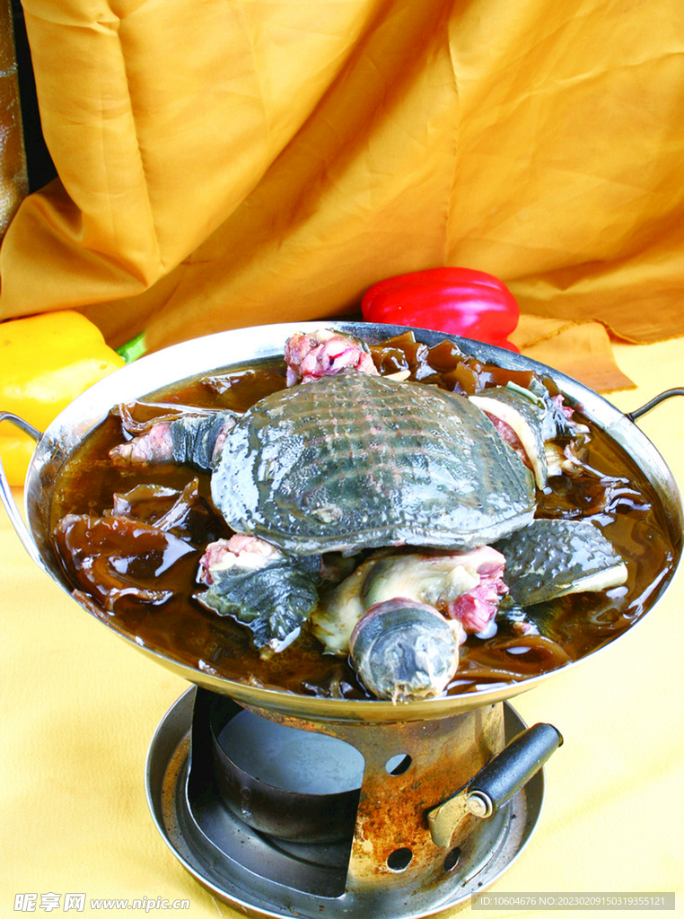 粉皮炖甲鱼