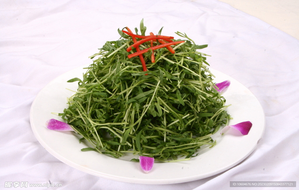 凉拌松柳芽