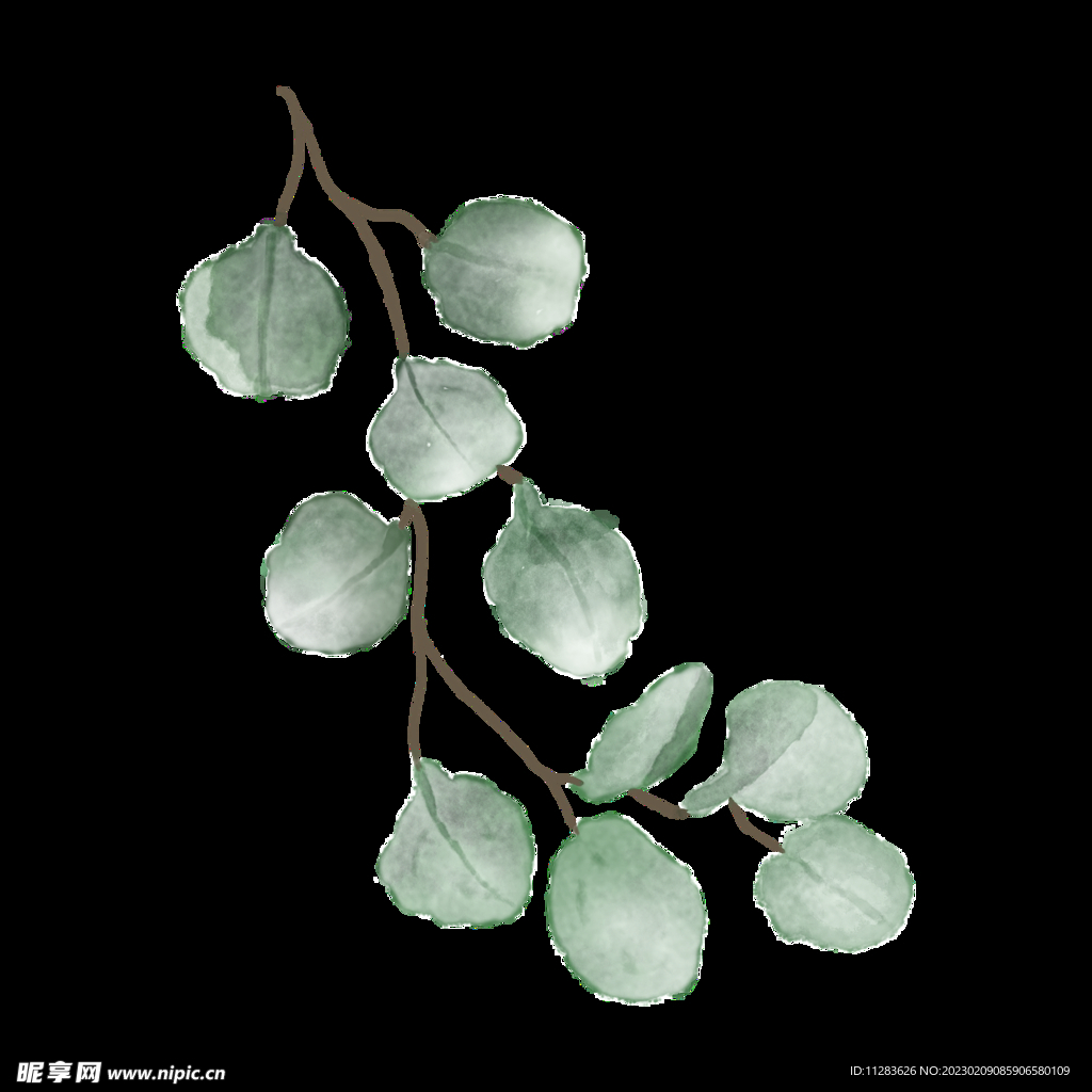 水彩植物