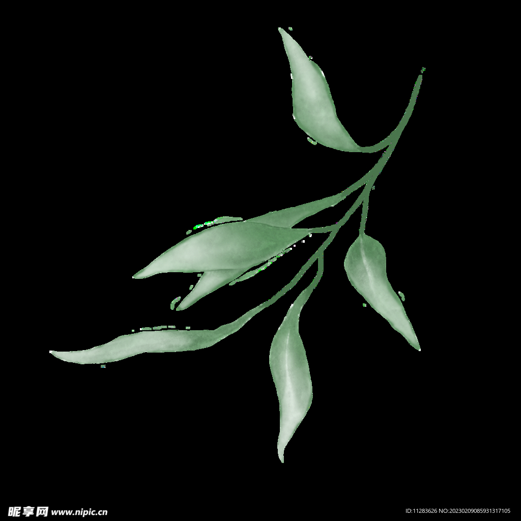 水彩植物