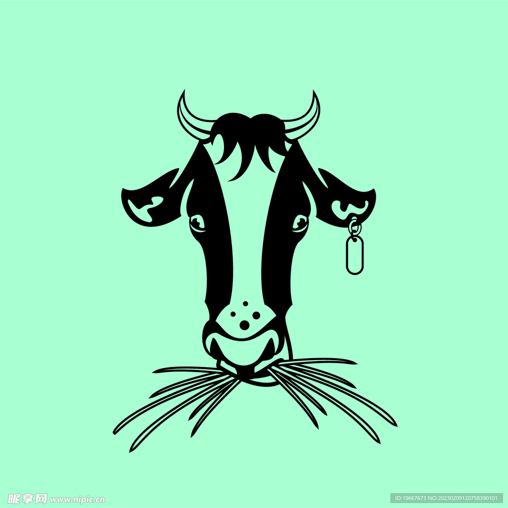 动物  
