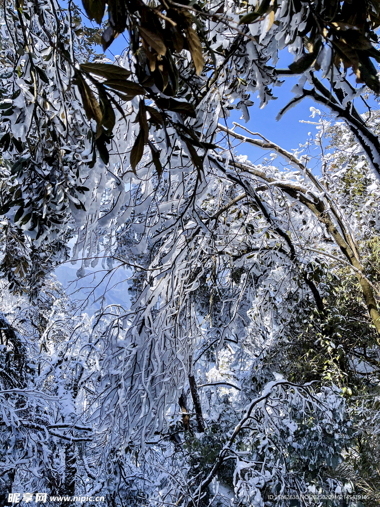 雪山 