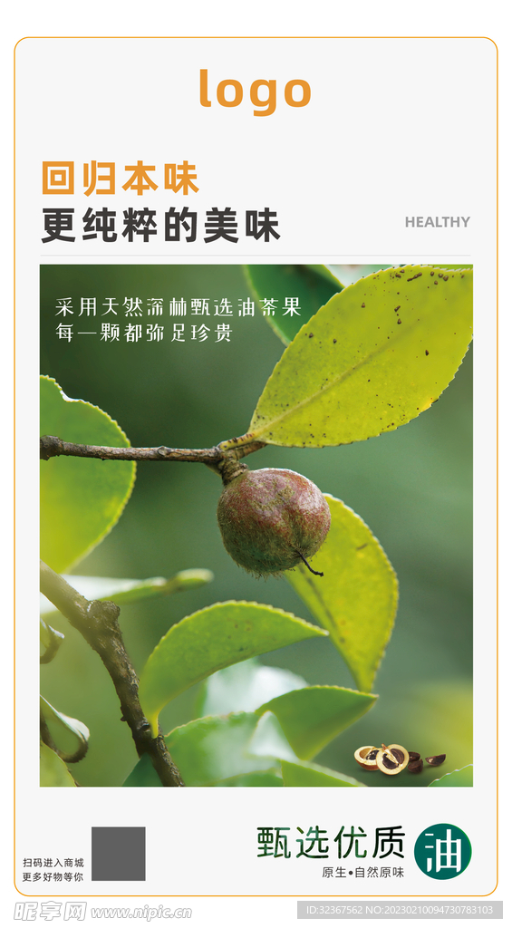 山茶油 