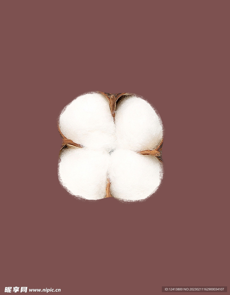 棉花