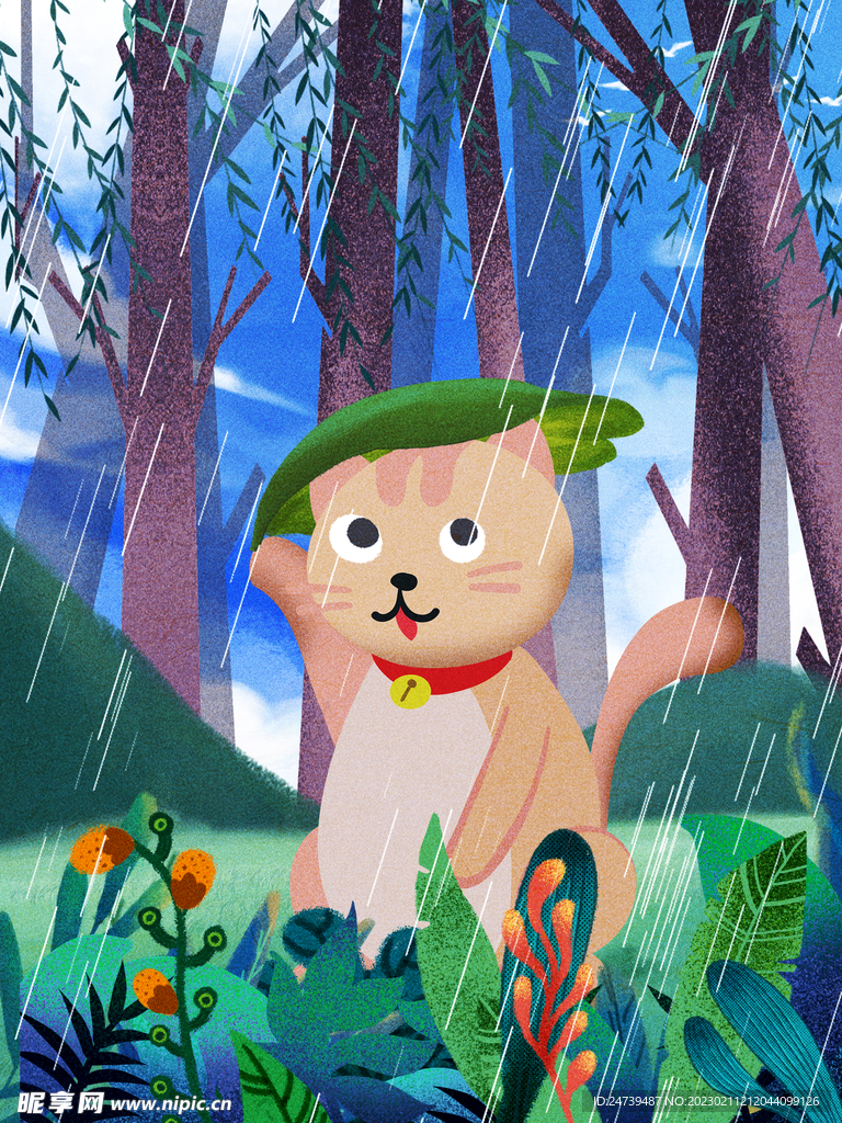 雨水
