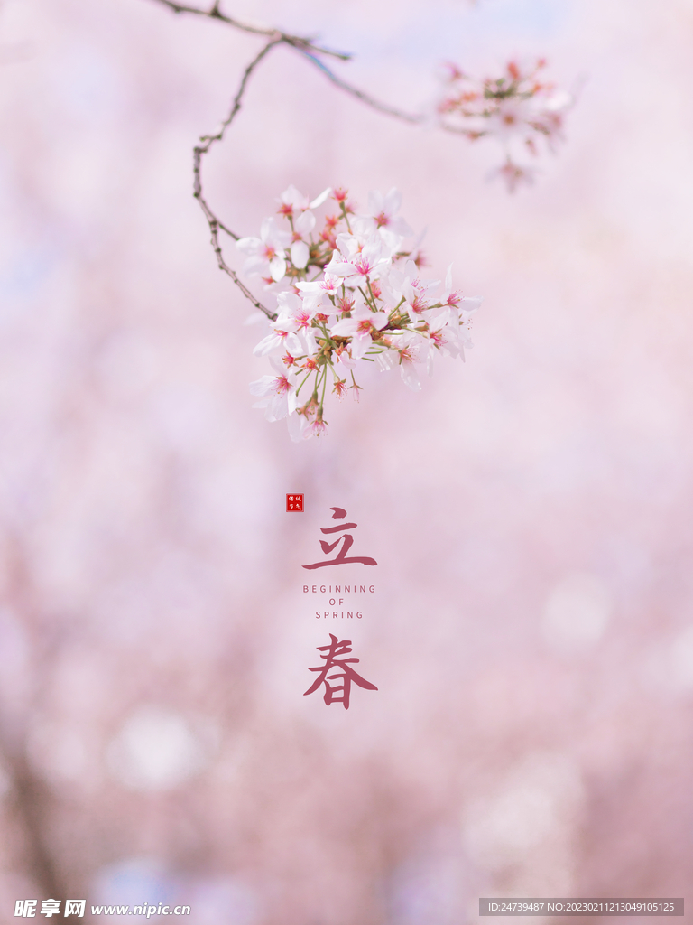 立春节气海报
