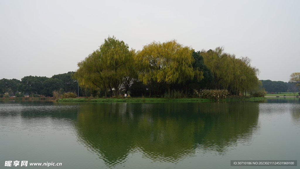 湖心小岛
