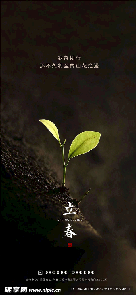 立春