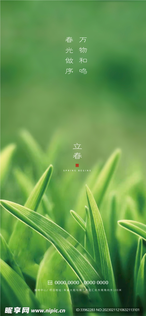立春