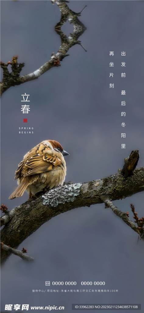 立春